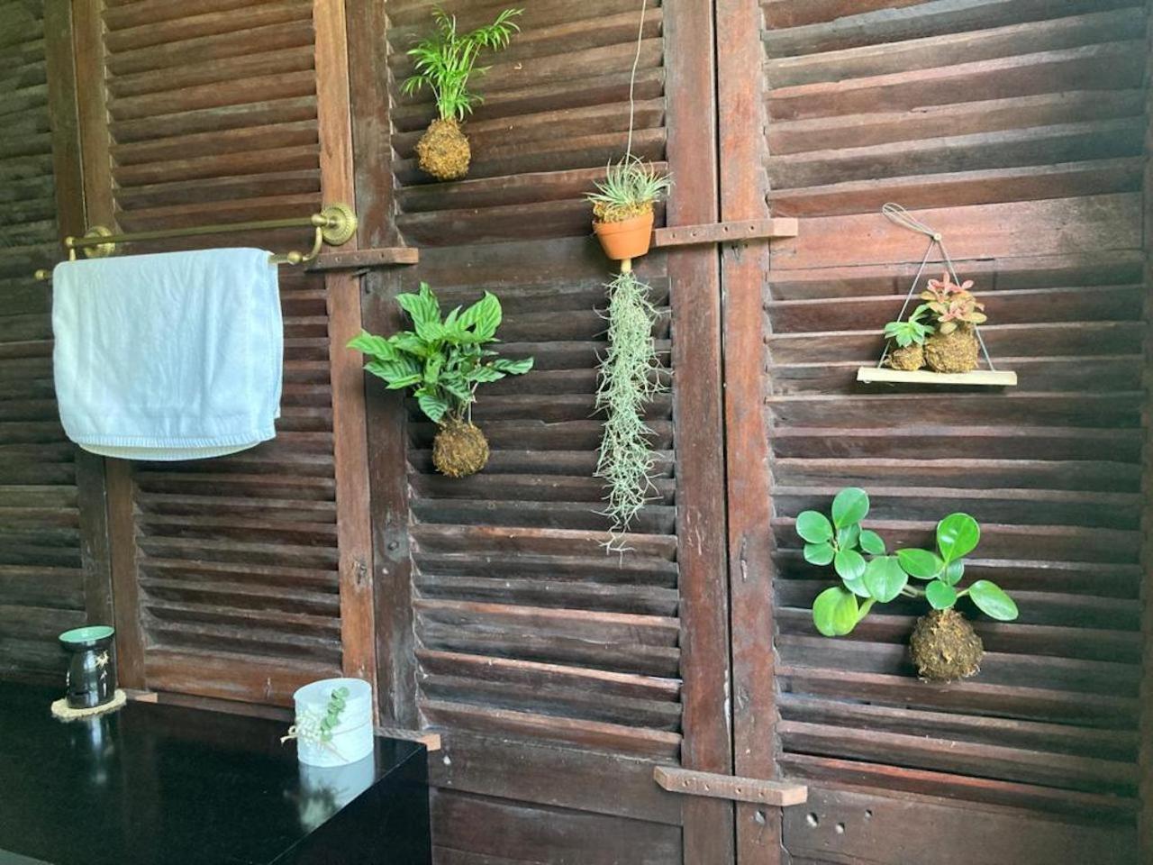 La Maison D'Indochine Hoi An Exteriör bild
